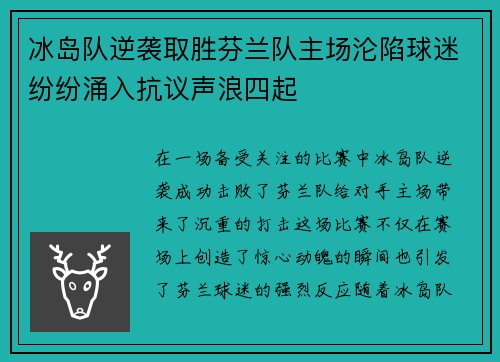 冰岛队逆袭取胜芬兰队主场沦陷球迷纷纷涌入抗议声浪四起